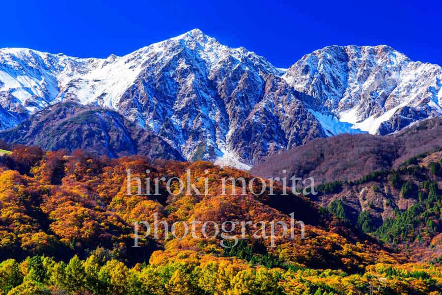長野県　白馬連峰の三段紅葉