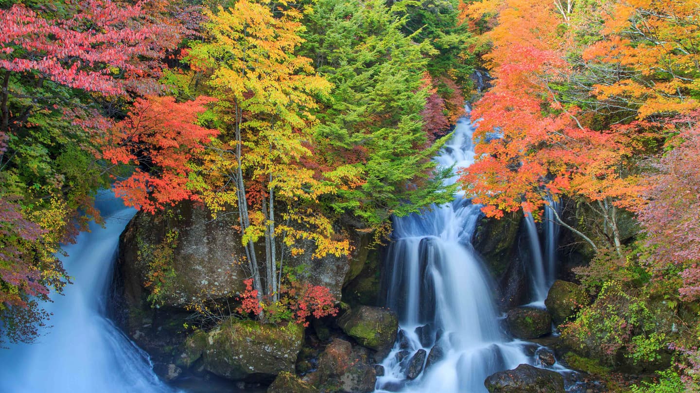 日光　竜頭の滝　紅葉