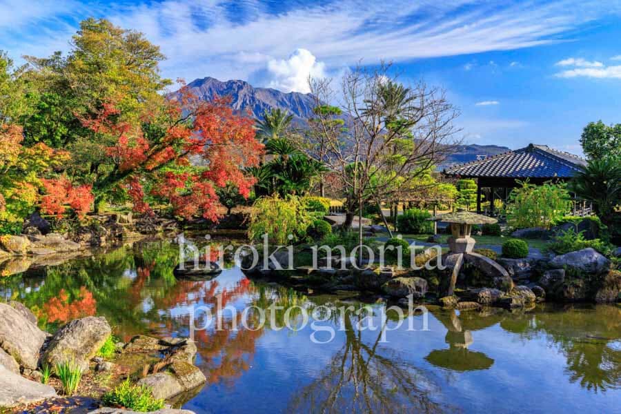 鹿児島県　仙巌園　桜島望む庭園の紅葉