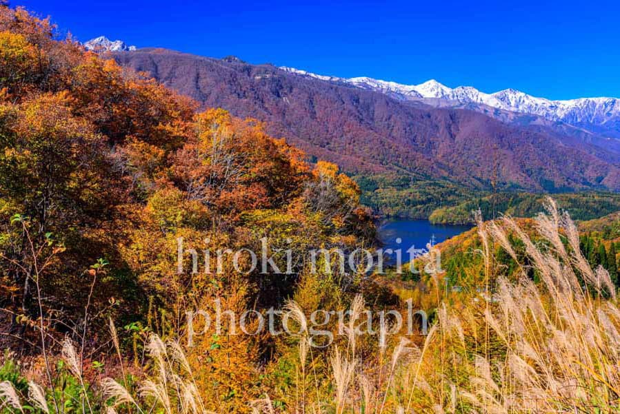 長野県　白馬連峰の秋