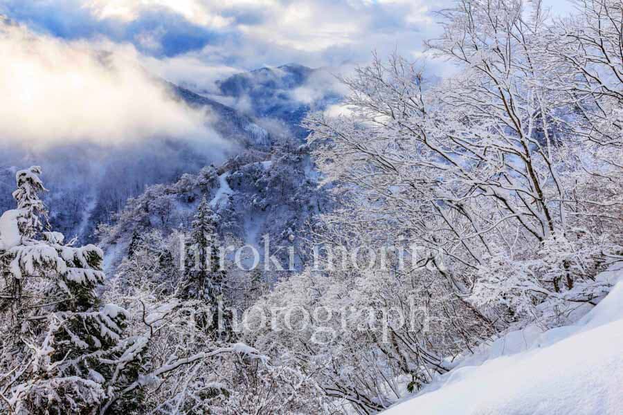 富山県　霧漂う冬の山