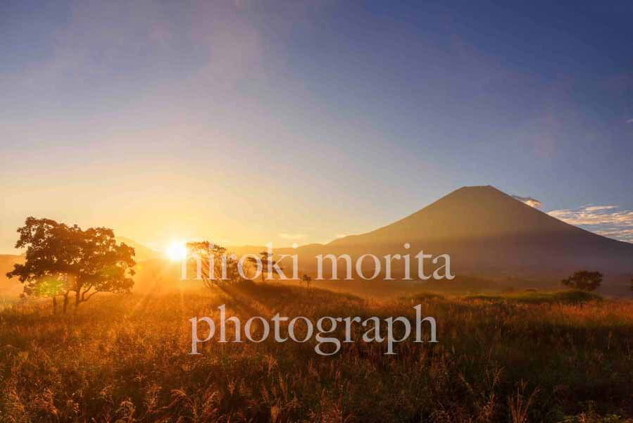 朝日差し込む初夏　富士山