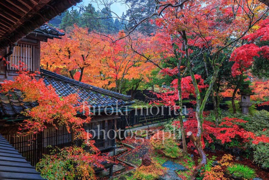 長野県　かまくらの里