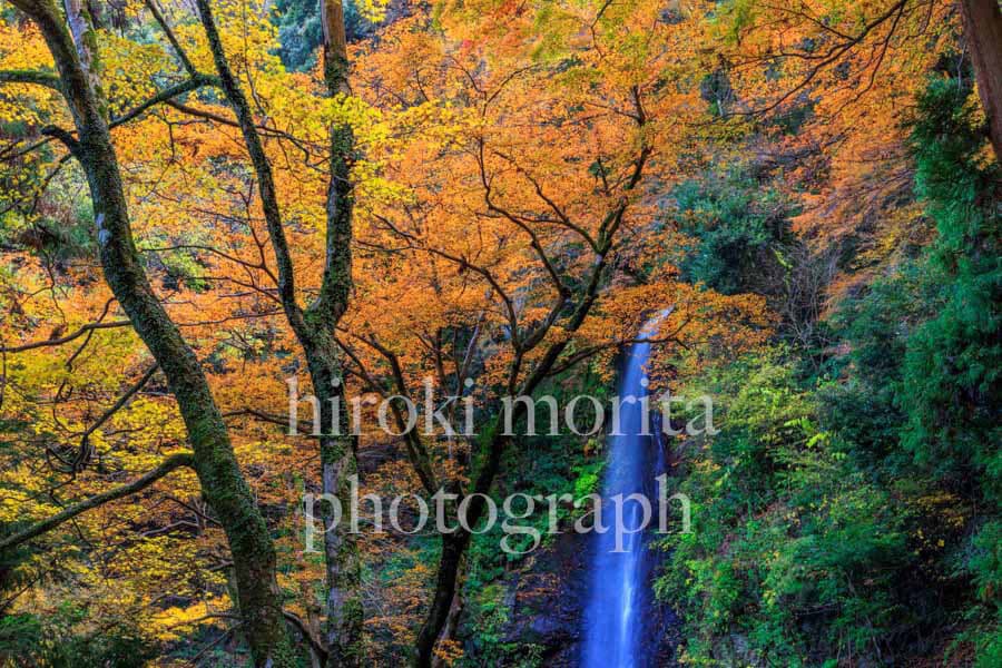 岐阜県　養老の滝