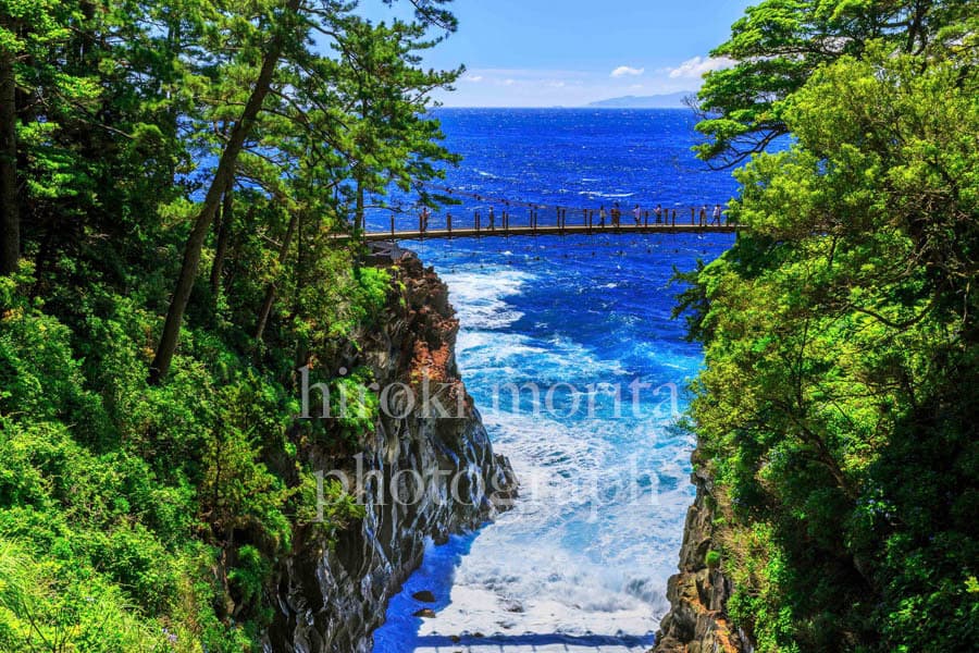 静岡県　海岸と吊橋　城ヶ崎海岸　伊豆